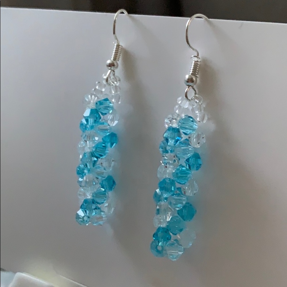 Hand Beaded Unique crystal dangle cylinder earring